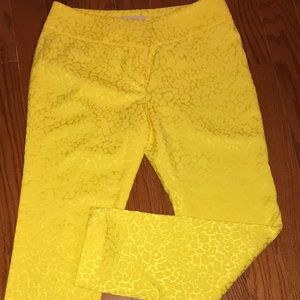 Ann Loft size 2 pants